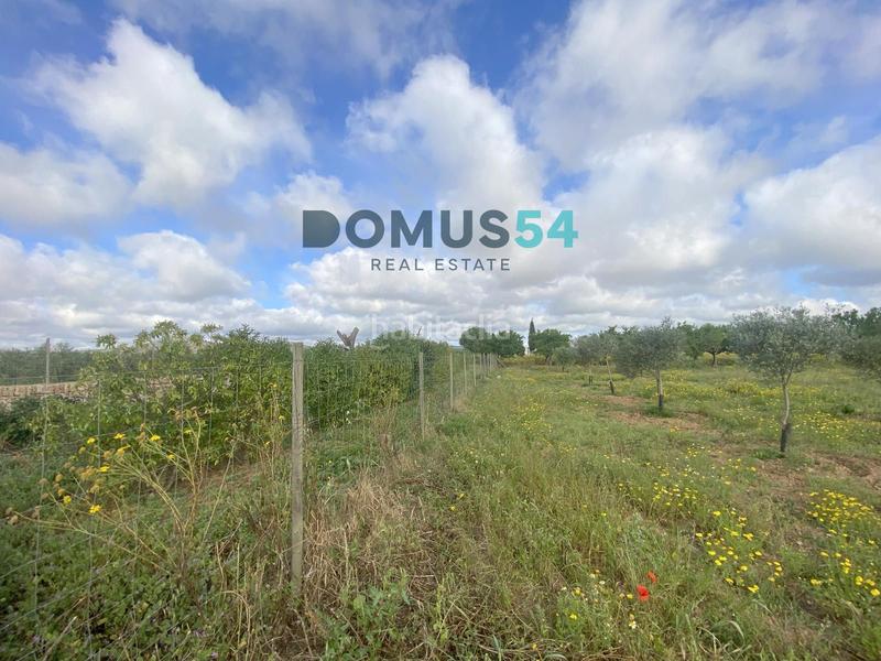 Foto 8866b813-3424-464c-b668-b8b7a8f4befc. Rural plot in Porreres