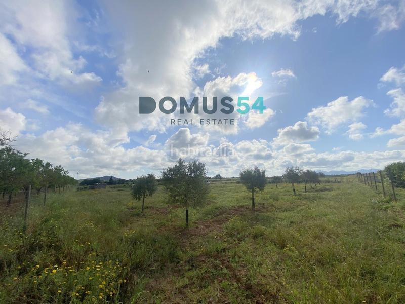 Foto 964c8400-19b6-4662-9a14-ea068afda733. Rural plot in Porreres