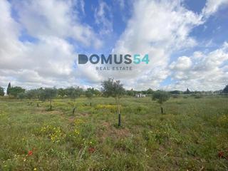 Rural plot in Porreres. Terreno no edificable en porreres