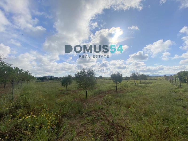 Foto ac1ee0f8-14e4-40bb-843b-6efa7a1a6a18. Rural plot in Porreres