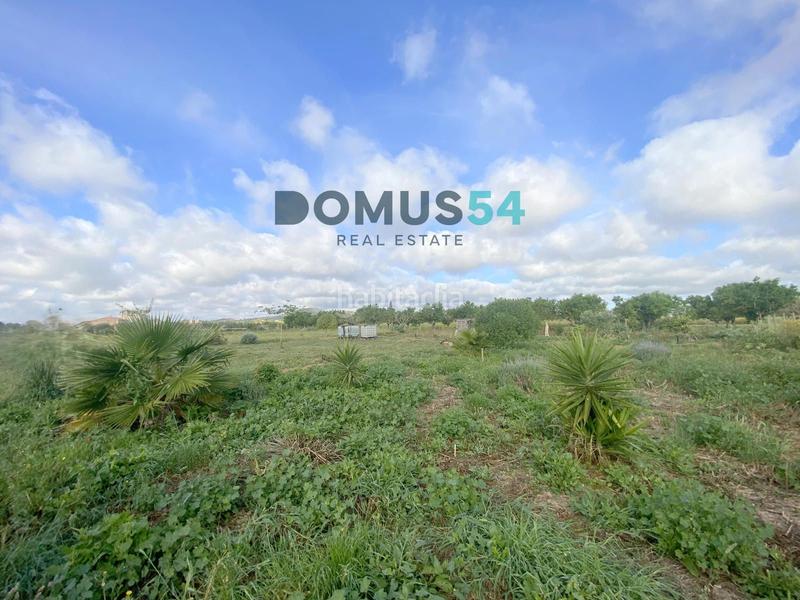 Foto ad4afbe7-1952-4321-a4d4-7cbc912653f3. Rural plot in Porreres