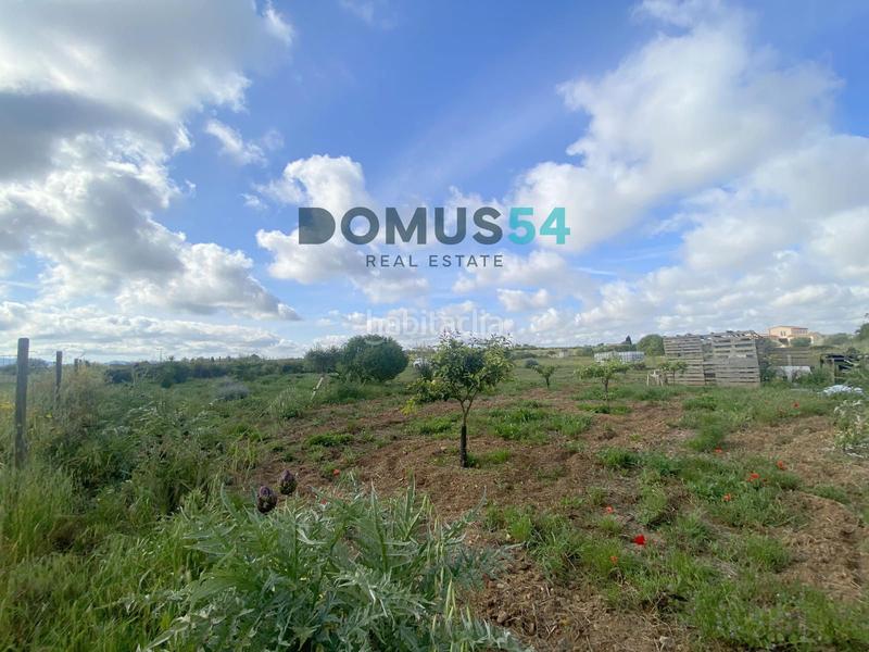 Foto c15580e3-a5c6-4406-81da-bd419eee8597. Rural plot in Porreres