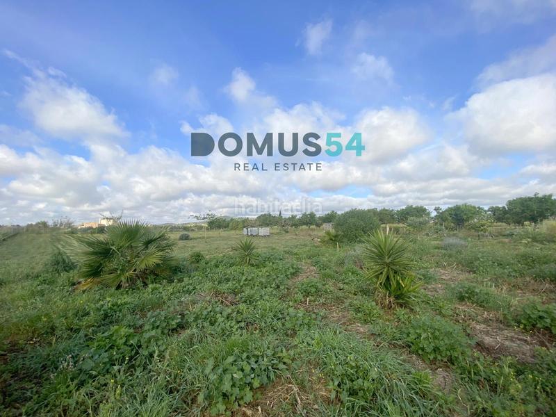 Foto c6cbb773-9d68-4665-860d-5a2c5e350a1d. Rural plot in Porreres