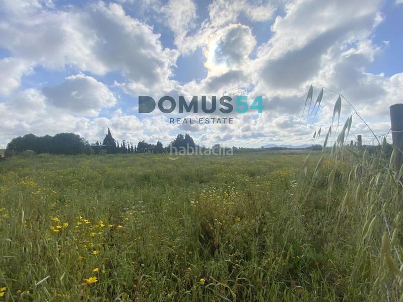 Foto f456416b-f458-47ab-b653-7fb20d430916. Rural plot in Porreres