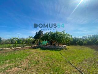 Finca rústica a Sa Pobla. Terreno rústico no edificable en sa pobla