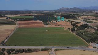 Rural plot in Llubí. Terreno rústico edificable en llubí