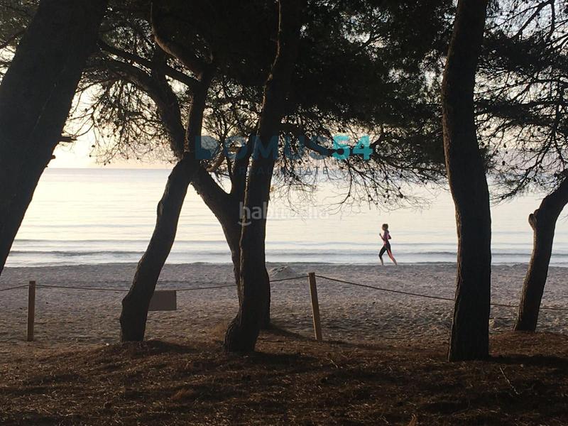 Foto 798b769f-5185-4298-8b27-ee787151ef66. Semi detached house in port d´Alcúdia-platja dálcúdia Alcúdia