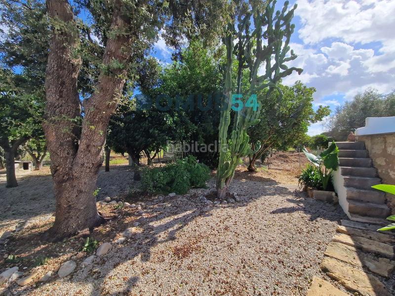 Foto 07c4027b-5a9a-4ff3-afc6-c9b256d08f81. Lloguer masia a Sa Pobla