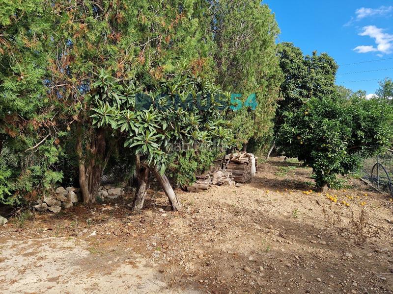 Foto 289bc8ea-5e4b-4c57-8cfc-d329e8b20d1a. Lloguer masia a Sa Pobla