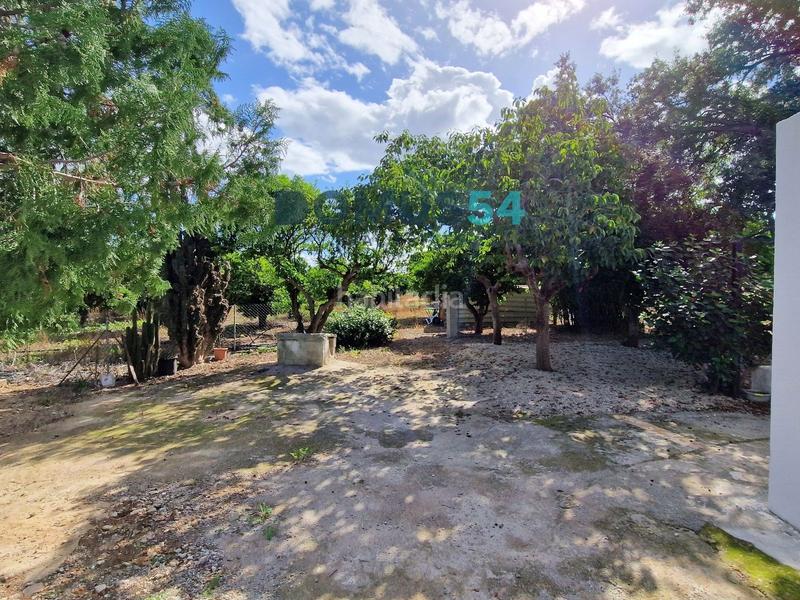 Foto 5993cd4a-1f6b-46cb-b18b-b7a4b8ce7c00. Lloguer masia a Sa Pobla