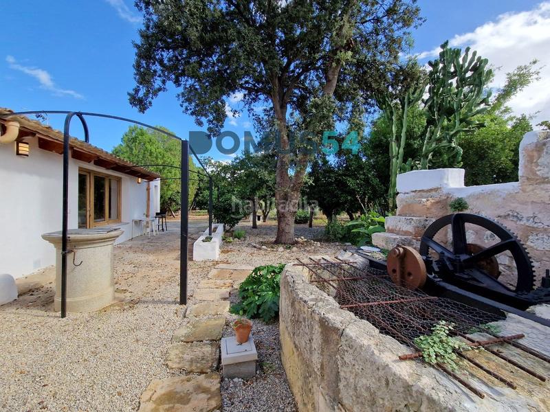 Foto 5b3a7bf0-72db-4329-b35d-2d85d8003aa7. Lloguer masia a Sa Pobla