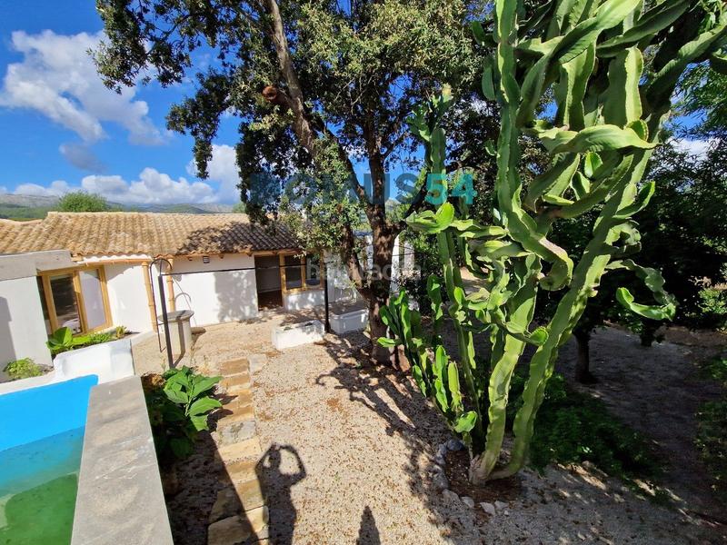 Foto d2f624f9-aaab-4212-9284-78193ee555cb. Lloguer masia a Sa Pobla