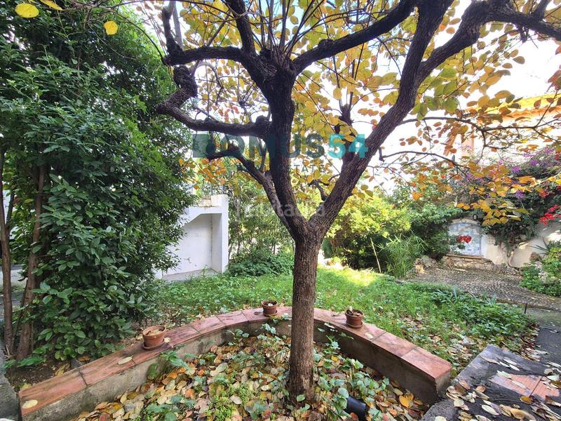 Foto 7c919445-449c-451a-8f5b-7019ecb6c749. Location maison dans Campanet