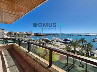 Affitto Piccolo appartamento in Port d´Alcúdia-Platja dÁlcúdia. Apartamento de alquiler en primera línea del club náutico en pue