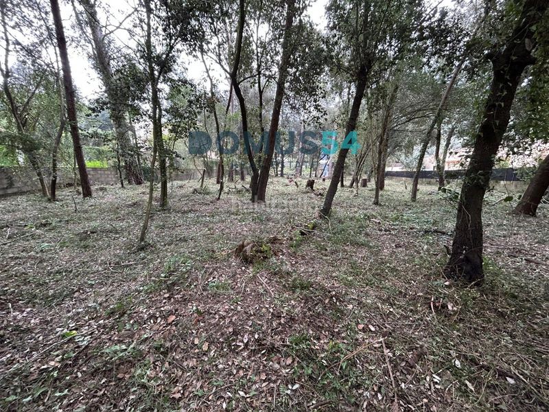 Foto 0c97266d-9ddc-4f5c-a0da-150fa51b50f5. Finca rústica a Sa Pobla