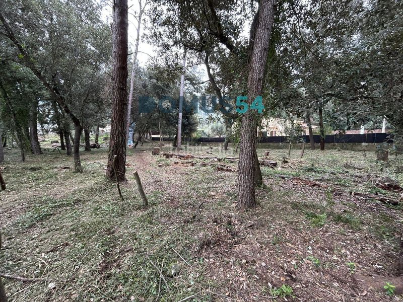 Foto 56e950e0-b965-40e7-8d09-4230c808313d. Finca rústica a Sa Pobla