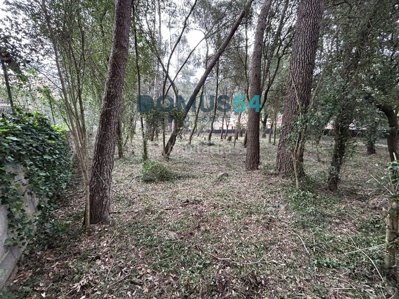 Foto 6121a397-f676-4715-82e8-aae04265ba08. Finca rústica a Sa Pobla