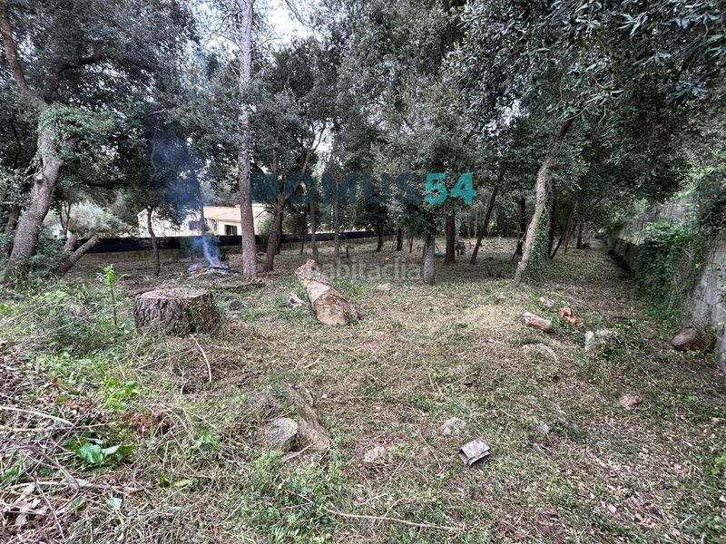 Foto b5a5f109-e4c2-4a59-948c-dee7cf2b6290. Finca rústica a Sa Pobla