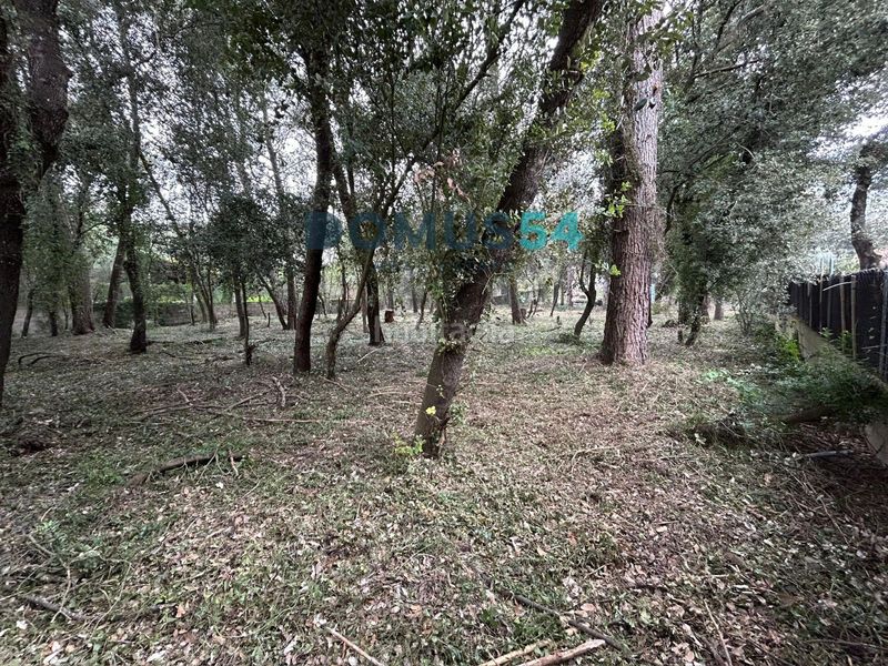 Foto e790ca46-9d76-43d2-bec8-32a8873395c3. Finca rústica a Sa Pobla