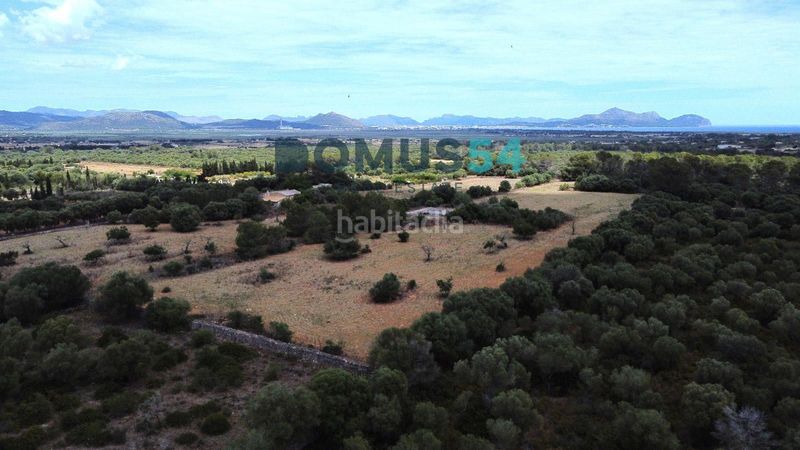 Foto 54d49115-414f-431d-8863-5be6bcbdd286. Finca rústica terreno rústico edificable con proyecto aprobado en Muro