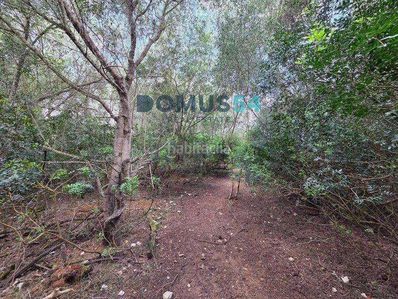 Foto 6587c157-9593-4d0e-b5c7-264080963bde. Finca rústica terreno rústico edificable con proyecto aprobado en Muro