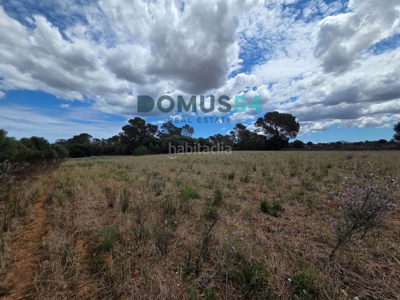 Foto a62b871e-4213-4f58-9484-8c34c2e10c6d. Finca rústica terreno rústico edificable con proyecto aprobado en Muro
