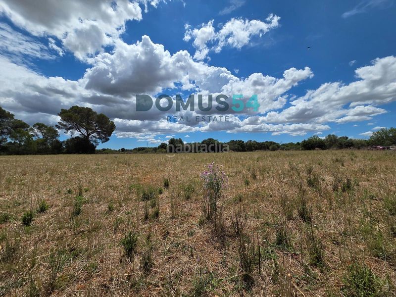 Foto aa8c8d85-62c3-44b1-8953-5ede04a5cba8. Finca rústica terreno rústico edificable con proyecto aprobado en Muro