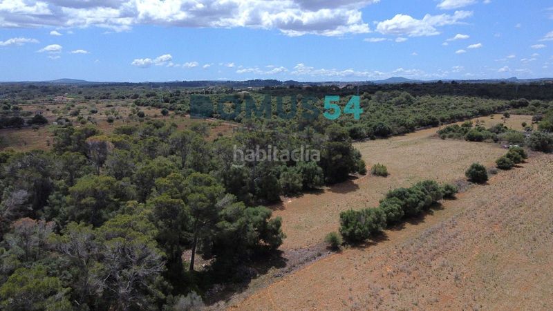 Foto c6d9b440-aada-46aa-bee2-9bbcab459f0d. Finca rústica terreno rústico edificable con proyecto aprobado en Muro