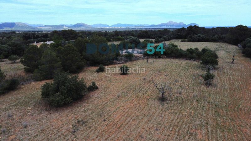 Foto d51068d3-83d3-44db-81e9-36fc8f8c72f6. Finca rústica terreno rústico edificable con proyecto aprobado en Muro