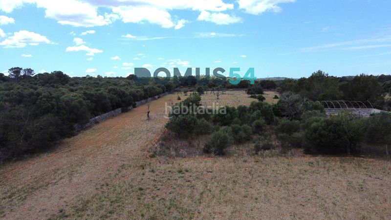 Foto e5dfe7ce-fec6-4b7d-8bfb-844437c9bdbc. Finca rústica terreno rústico edificable con proyecto aprobado en Muro