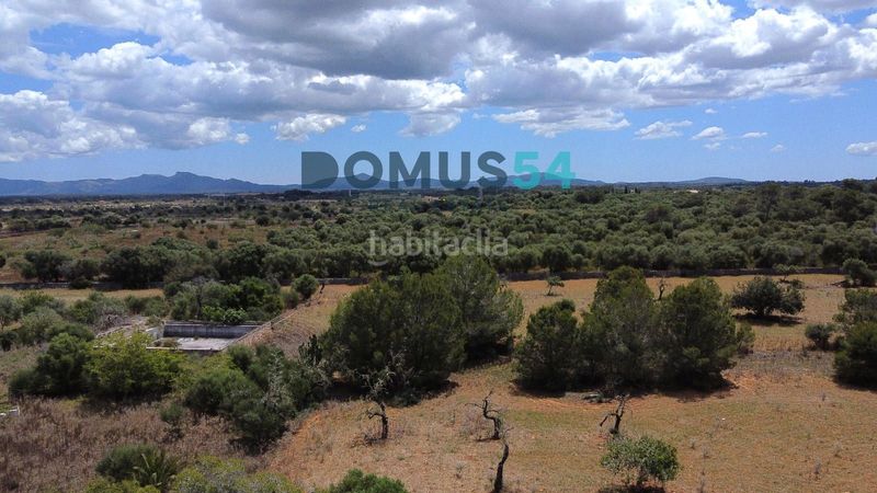 Foto f20a6e96-f6fe-4964-bd9c-b80380fb5c43. Finca rústica terreno rústico edificable con proyecto aprobado en Muro