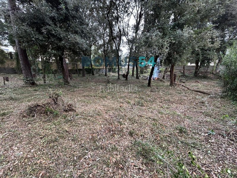 Foto aa9ffe20-8677-49ad-9a4f-d755fe22c083. Finca rústica a Sa Pobla