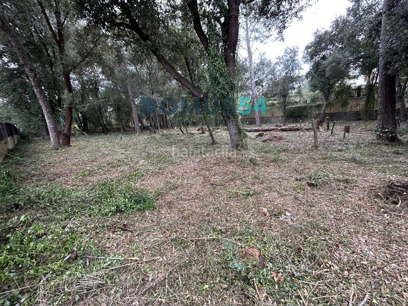 Foto b7b57528-9548-4e56-b7ed-f0695ed0a1cd. Finca rústica a Sa Pobla