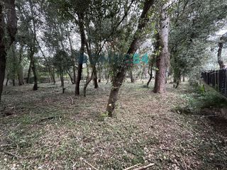 Finca rústica a Sa Pobla. Solar en son toni sa pobla a solo 10 km de pollença