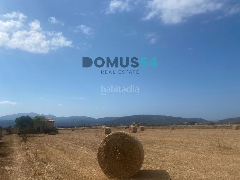 Foto 037c130c-5518-4013-9db6-266208e92536. Finca rústica a Sa Pobla