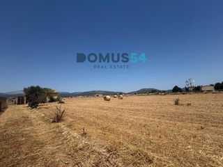 Rural plot in Sa Pobla. Finca rústica no edificable con caseta agrícola en sa pobla