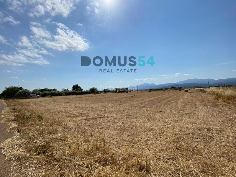 Foto 4dd11a1a-7c29-4e11-8c79-e8df90e86c0f. Finca rústica a Sa Pobla