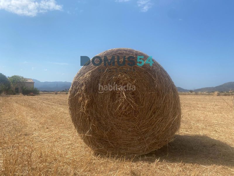 Foto 6be42f23-9d37-4904-873c-3bd990350186. Finca rústica a Sa Pobla