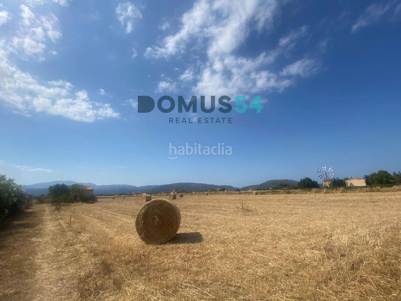 Foto 6c2e865d-1fbc-4307-a82a-92e535ddfd56. Finca rústica a Sa Pobla