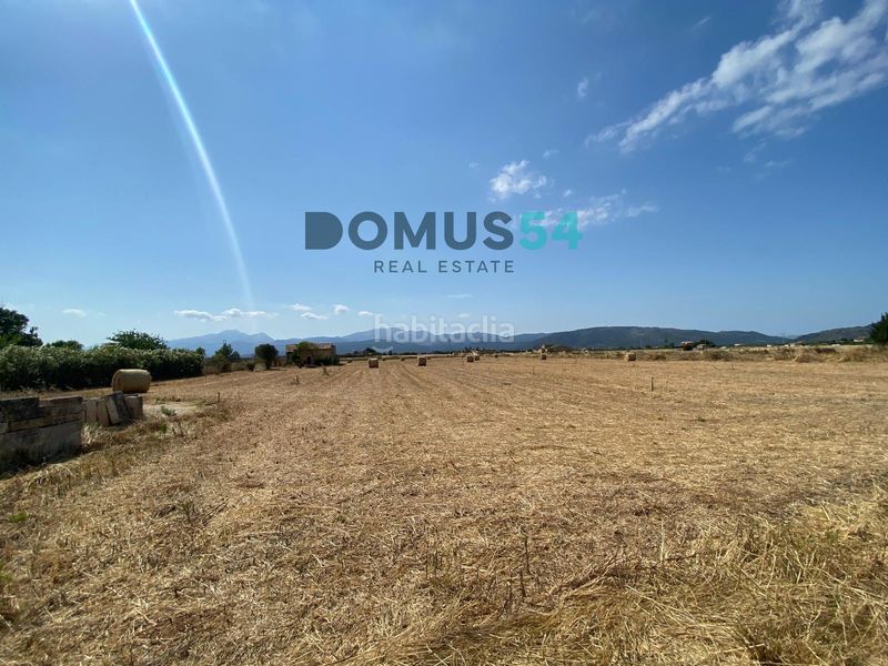 Foto e788abfb-aeff-4ad5-9db6-60f7557b9381. Finca rústica a Sa Pobla