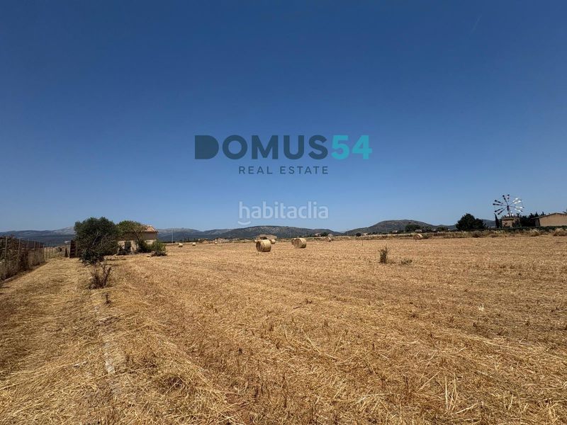 Foto e98a54ed-b2ac-476b-8626-8709bed86dfc. Finca rústica a Sa Pobla