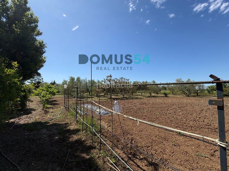 Foto 261f0c7e-de2e-4558-9489-fe769fe35088. Finca rústica a Sa Pobla