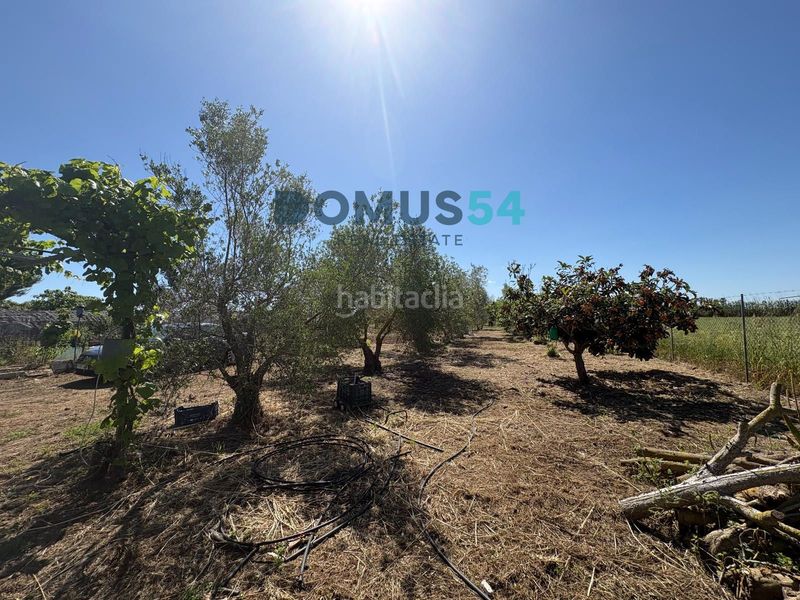 Foto bb760d11-b7e8-4e8b-818e-39e5b6ad3ab9. Finca rústica a Sa Pobla