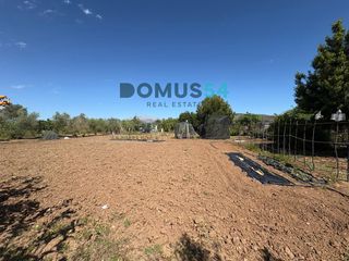 Rural plot in Sa Pobla. Terreno rústico no edificable con caseta en sa pobla