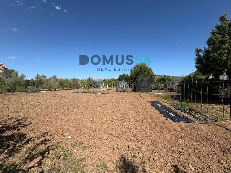 Foto bc13a86a-a46d-46b7-8264-3a5c7e25b9d4. Finca rústica a Sa Pobla