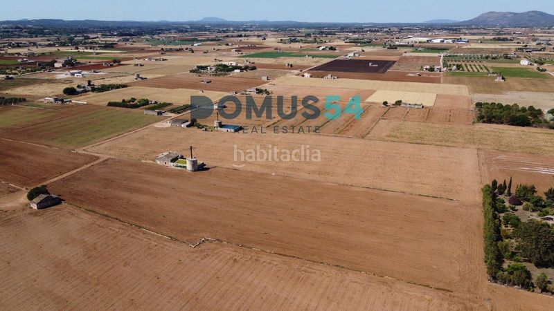Foto 9c0420be-8997-432f-8395-1b96d0356fec. Finca rústica a Sa Pobla