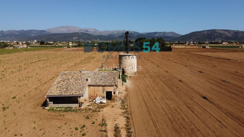 Foto a49e5819-c292-4da5-8cb0-305ee1f76a4e. Finca rústica a Sa Pobla