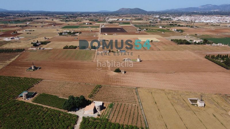 Foto a9586a0b-ee12-4a37-8194-b2136bec3ed4. Finca rústica a Sa Pobla