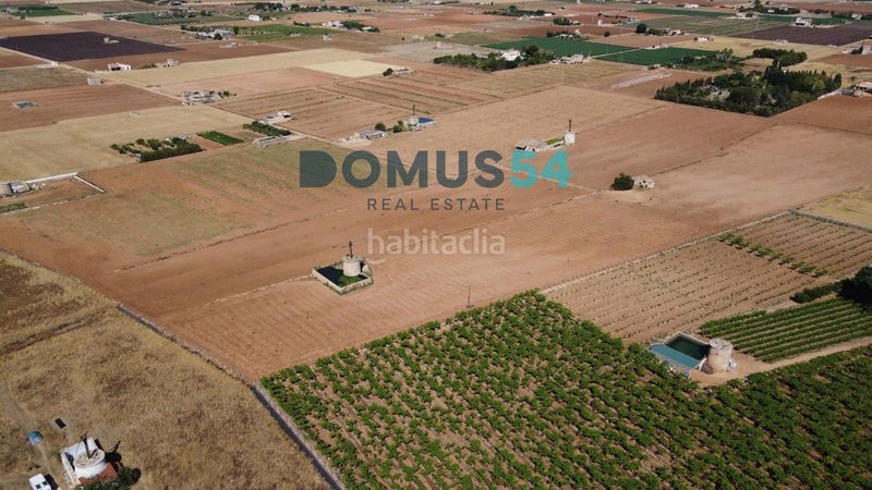 Foto b5560090-4c0d-4763-bfe7-0006973538c1. Finca rústica a Sa Pobla