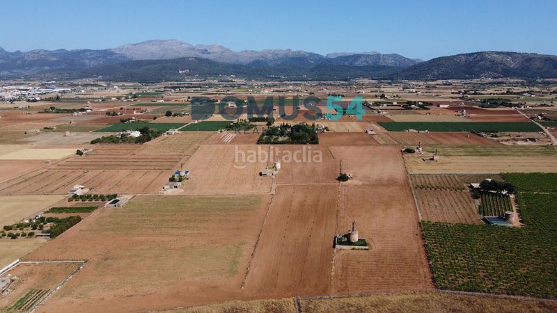Foto eee1db03-172d-4615-aaf9-a3537afac6b2. Finca rústica a Sa Pobla